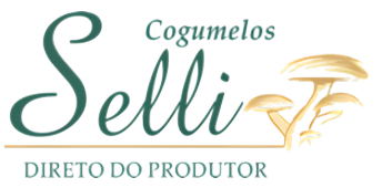Empresa parceiras
